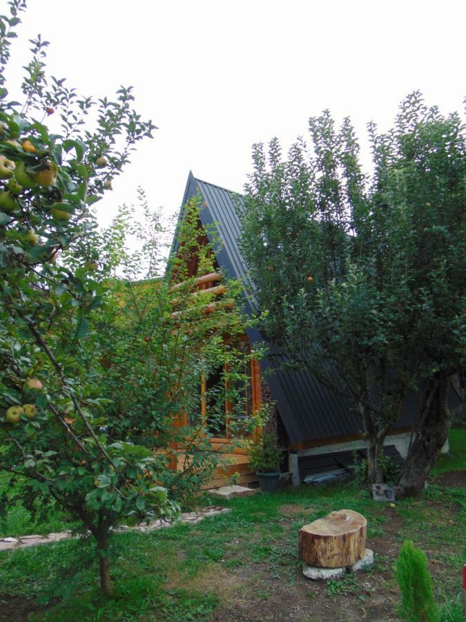 Apple House Villa Cetinje Exterior photo