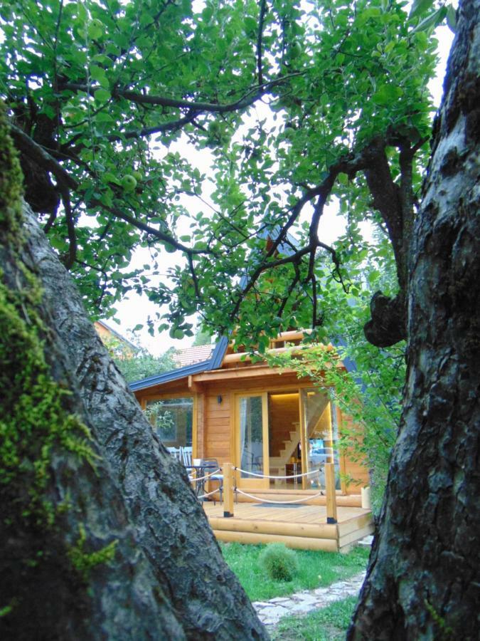 Apple House Villa Cetinje Exterior photo